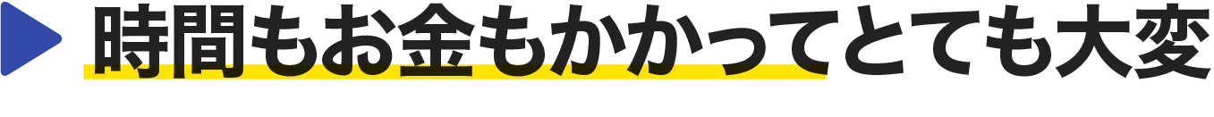 時間もお金もかかってとても大変